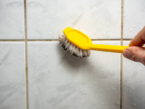 Best Commercial Mold Removal  in St Martinville, LA