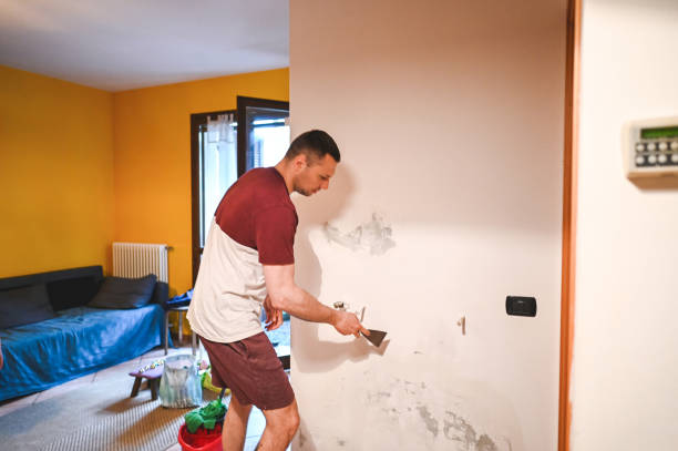 Best Crawl Space Mold Removal  in St Martinville, LA